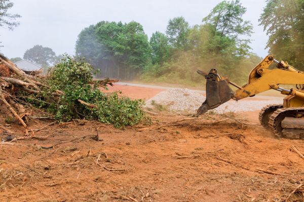 Ground Clearing in Ringgold