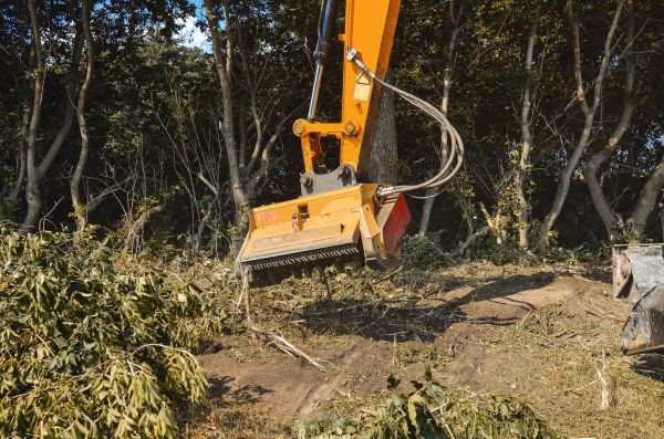 Brush Removal Service in Ringgold