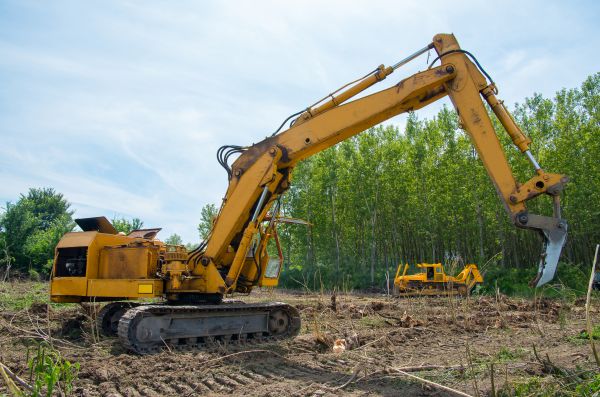 Cost of Farm Clearing in Ringgold