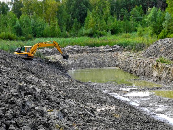 Cost of Lake Lot Clearing in Ringgold