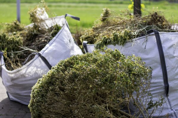 Cost of Bushes Clearing in Ringgold