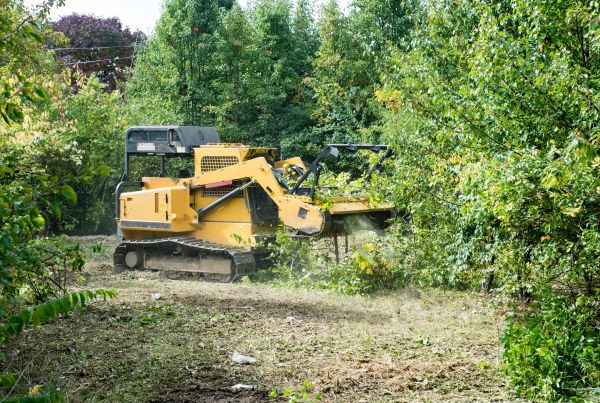 Cost of Pathway Clearing in Ringgold