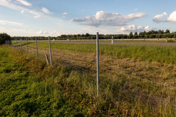 Cost of Property Line Clearing in Ringgold