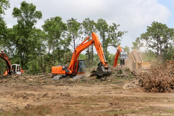 Cost of Commercial Lot Clearing in Ringgold