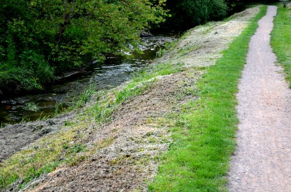 Cost of Trail Cutting in Ringgold