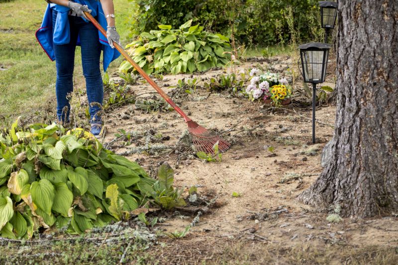 Experienced Land Clearing Crew